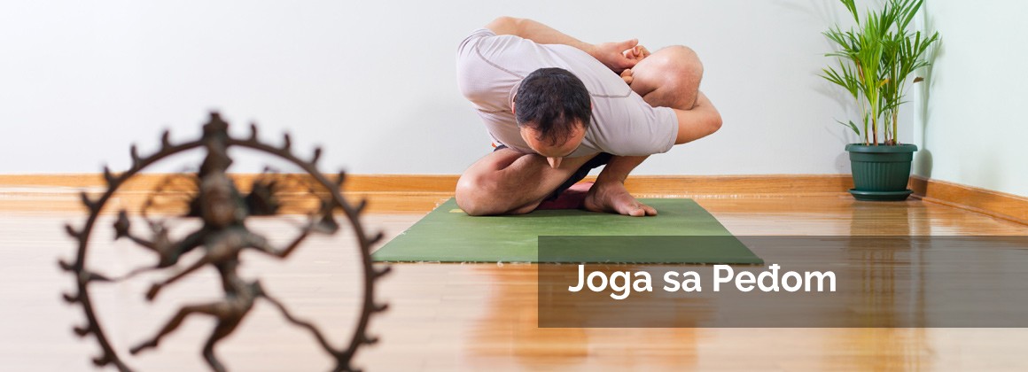 http://shivashakti.rs/wp-content/uploads/2017/03/slide-joga-sa-pedjom-yoga-vezbanje-disanje.jpg